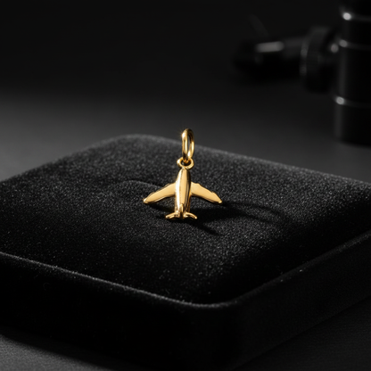 Airplane on velvet