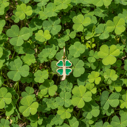 Four Leaf Clover - Real Clover