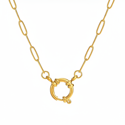 Thick Paperclip Chain White Background